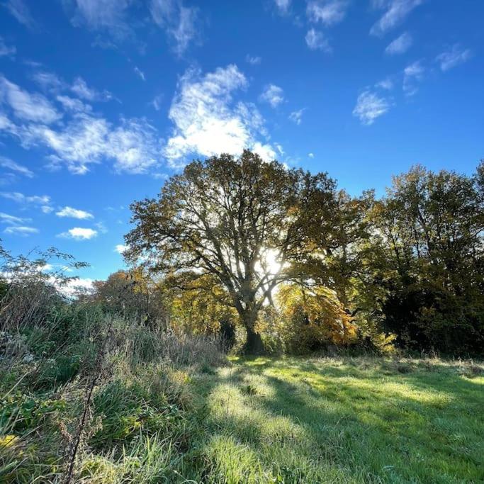 Superbe Maison De Campagne A Deux Pas De Nantes Treillieres Ngoại thất bức ảnh